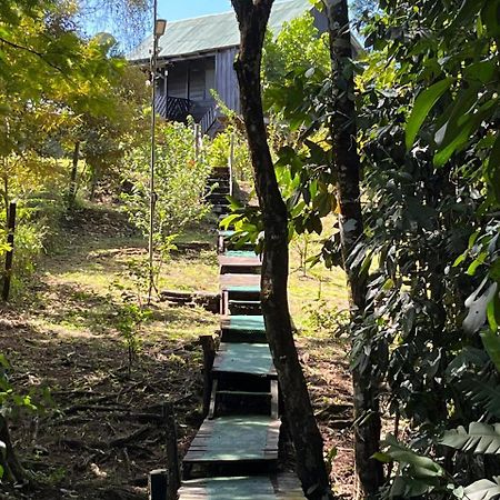 La Cueva Del Sapo Experience A Genuine Countryside Farm Wooden House Villa Horquetas Exterior photo