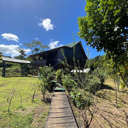 La Cueva Del Sapo Experience A Genuine Countryside Farm Wooden House Villa Horquetas Exterior photo