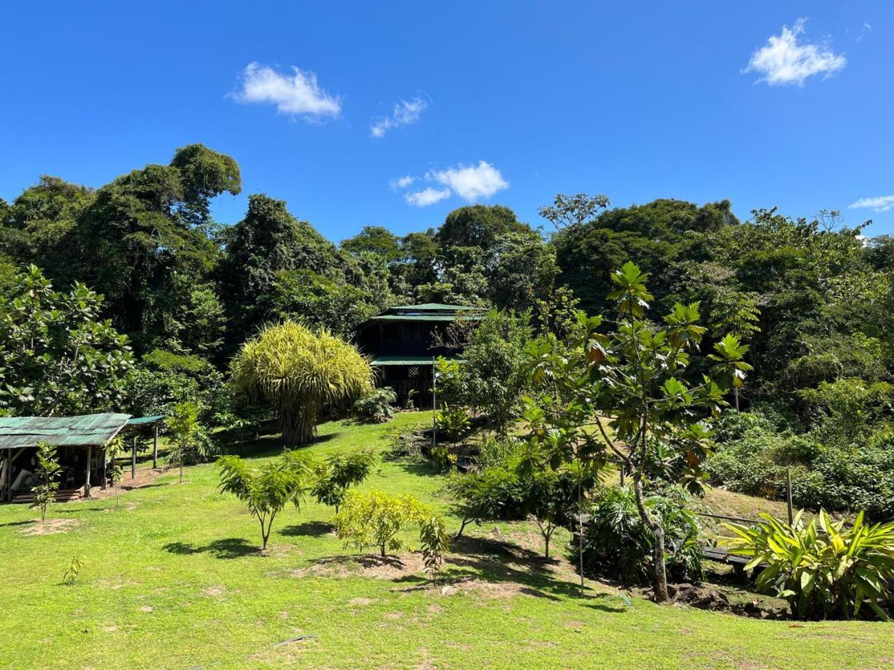 La Cueva Del Sapo Experience A Genuine Countryside Farm Wooden House Villa Horquetas Exterior photo