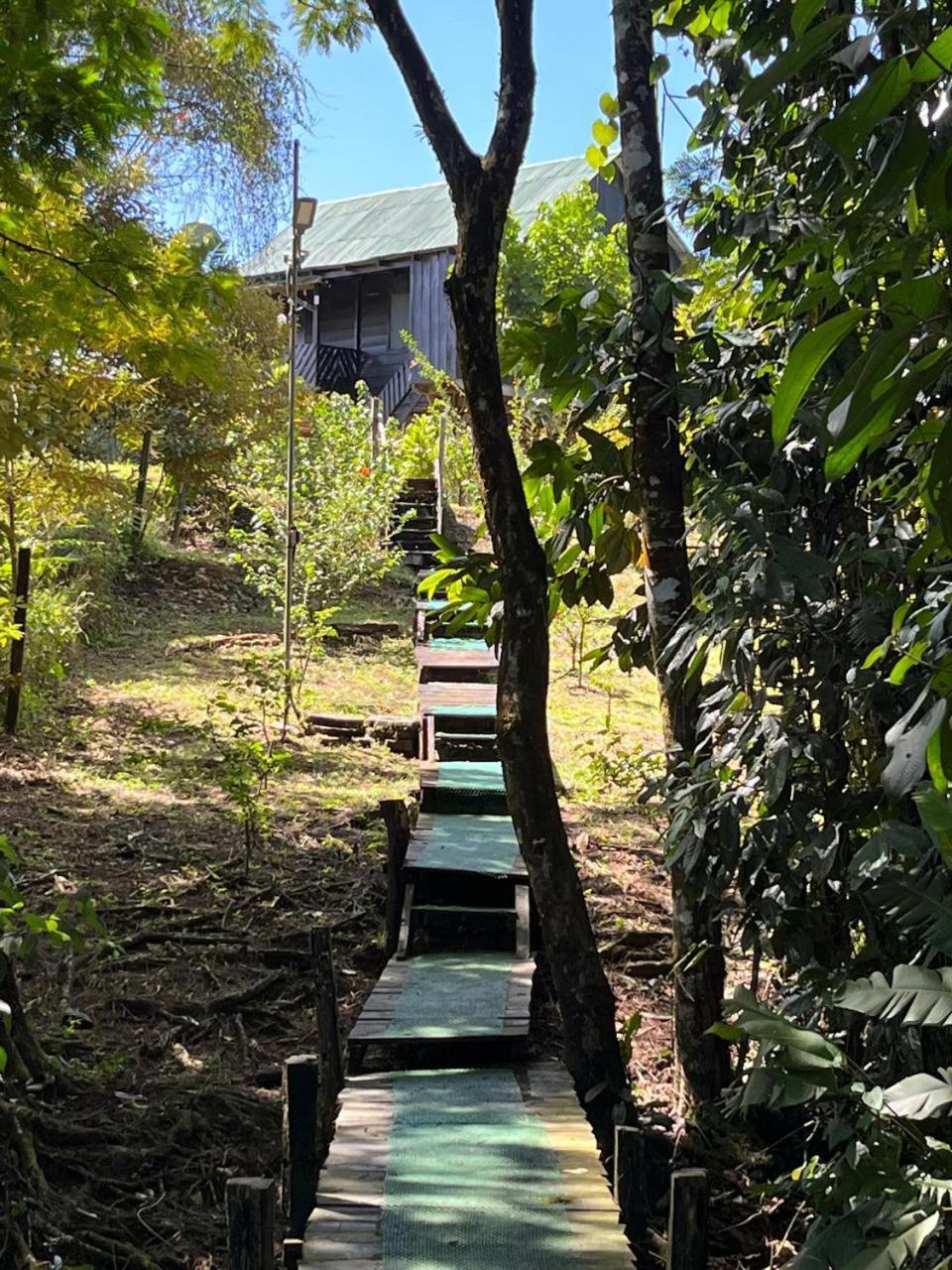 La Cueva Del Sapo Experience A Genuine Countryside Farm Wooden House Villa Horquetas Exterior photo